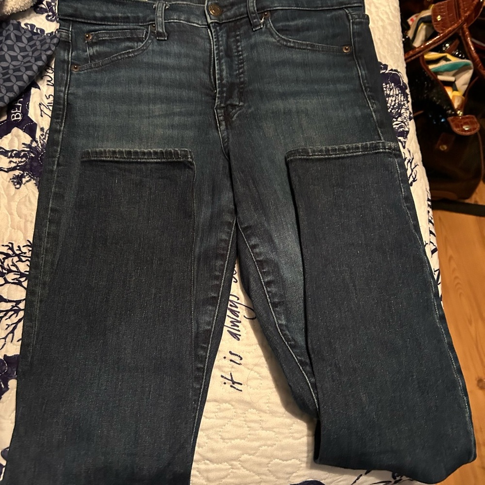 GAP True Skinny High Rise Jeans 8R